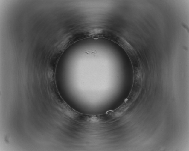 X0000098210565200804241324