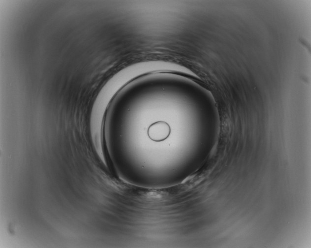 X0000098210566200804241324