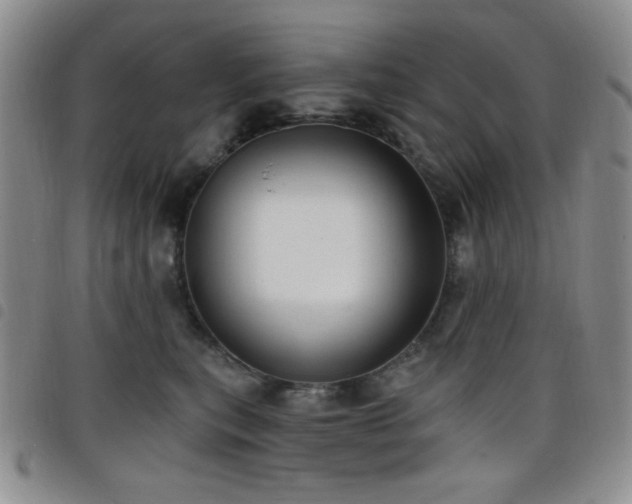 X0000098210567200804241324