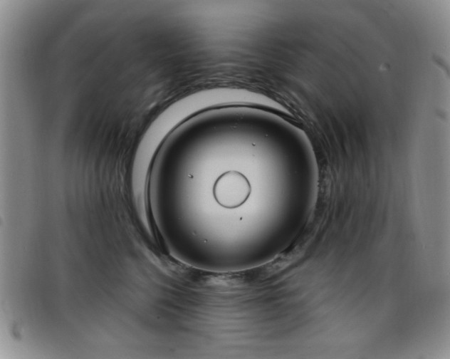X0000098210568200804241324