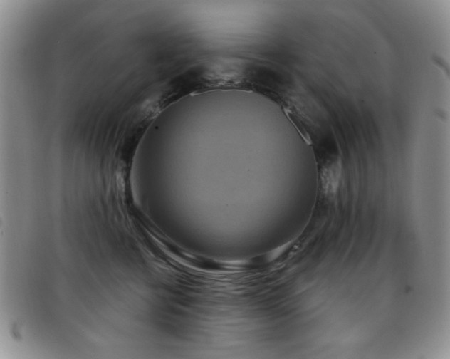 X0000098210570200804241324