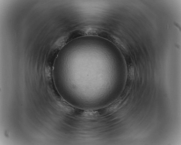 X0000098210571200804241324