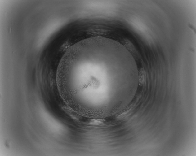 X0000098210573200804241324