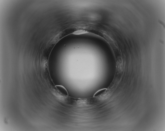 X0000098210574200804241324