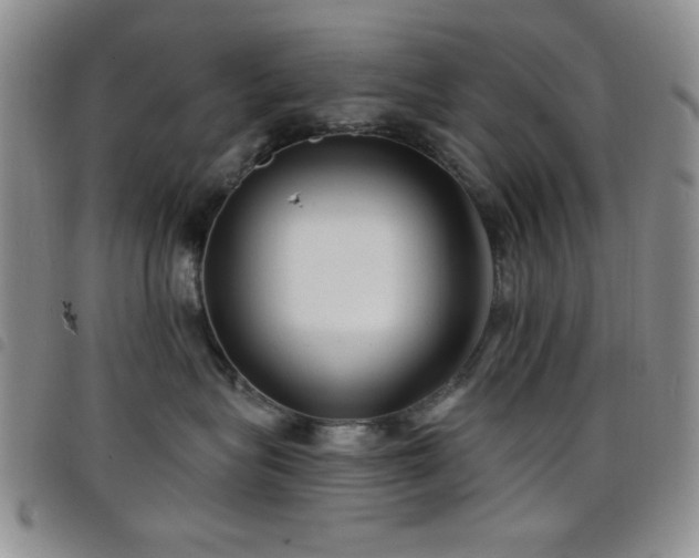 X0000098210575200804241324
