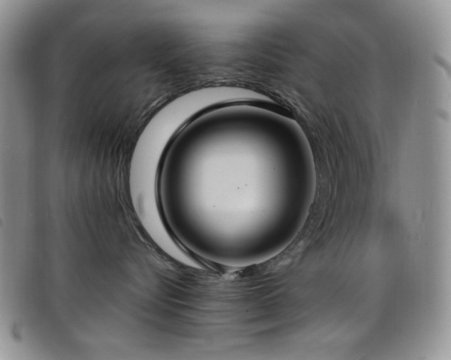 X0000098210576200804241324