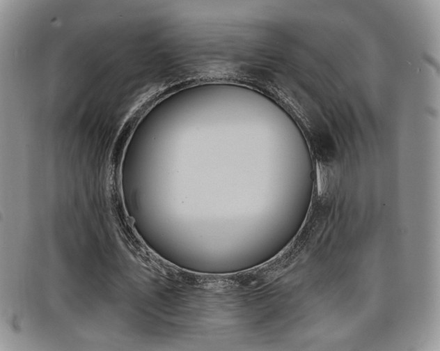 X0000098210579200804241323