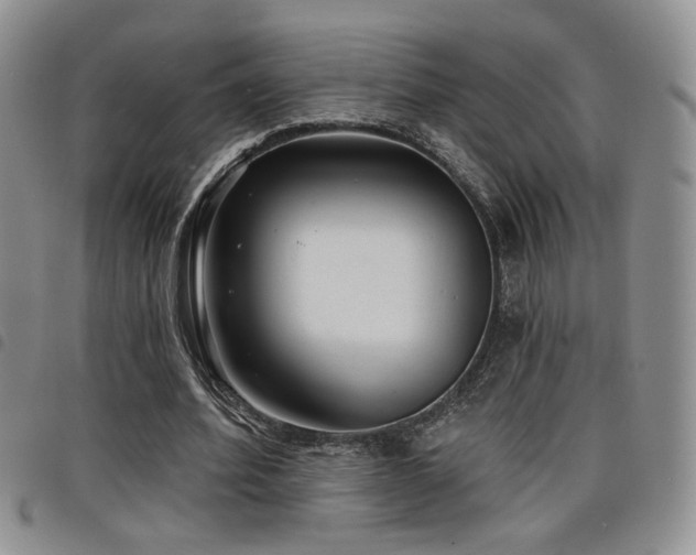 X0000098210580200804241323