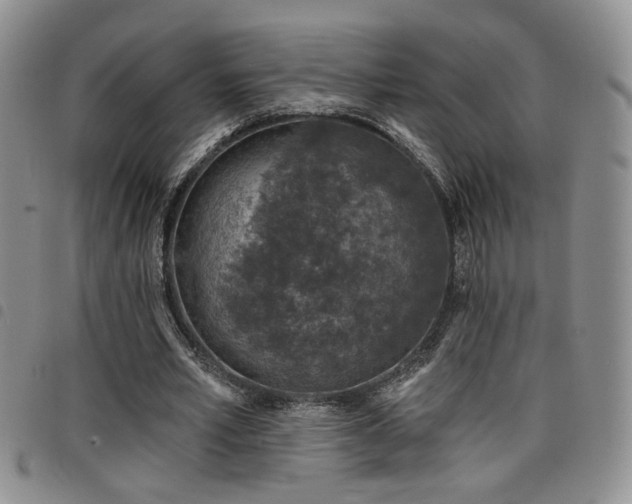 X0000098210581200804241323