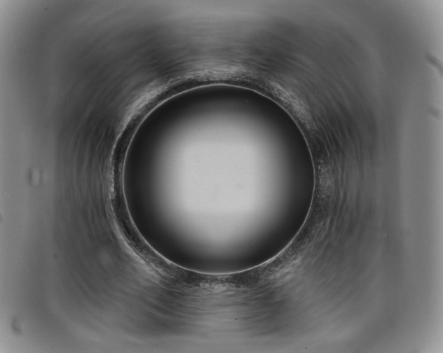 X0000098210582200804241323