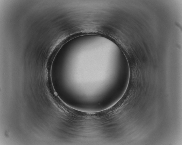 X0000098210584200804241323