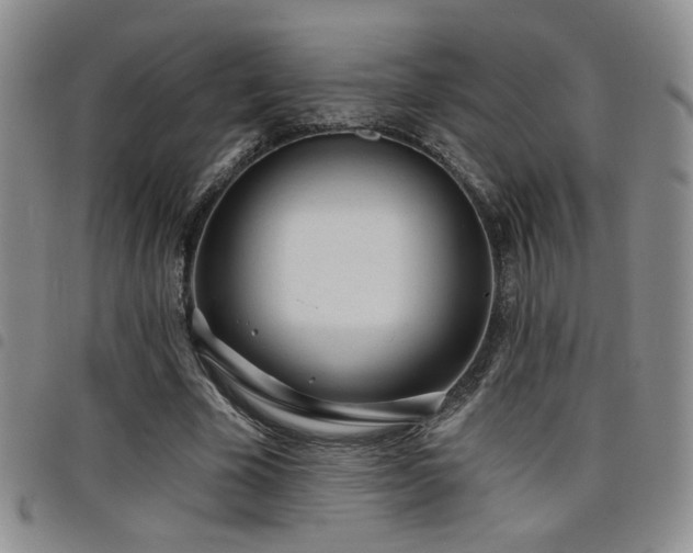 X0000098210585200804241323