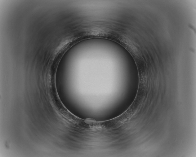 X0000098210587200804241323