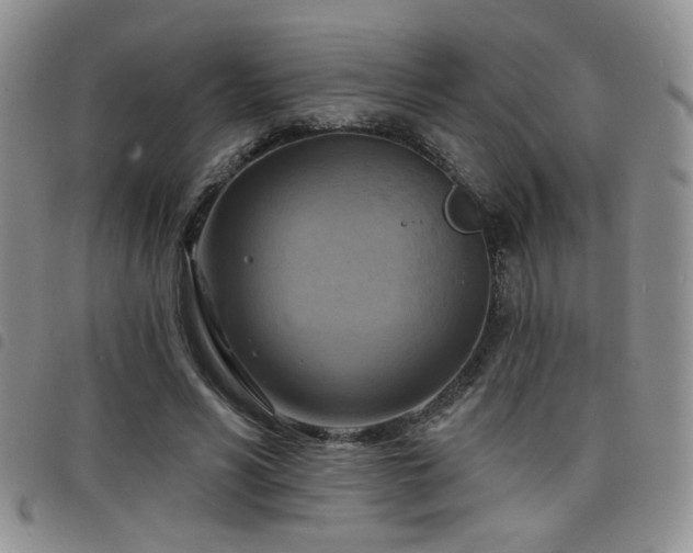 X0000098210590200804241323