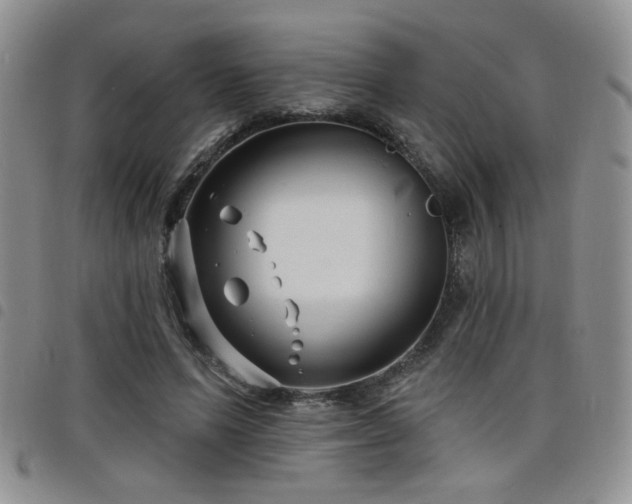 X0000098210591200804241323