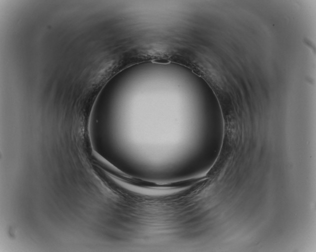 X0000098210593200804241323