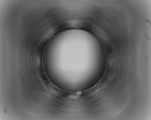 X0000098210595200804241323