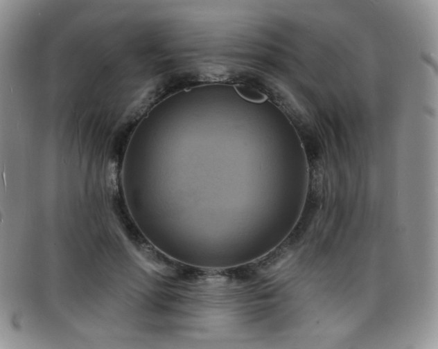 X0000098210598200804241323