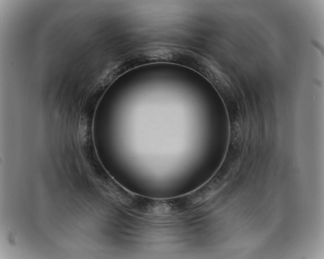 X0000098210600200804241323