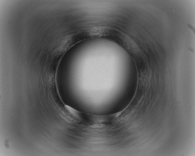 X0000098210601200804241323