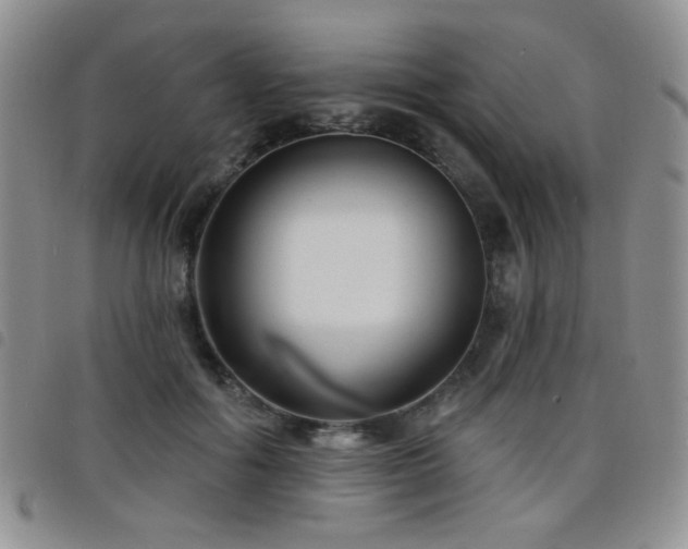 X0000098210602200804241323