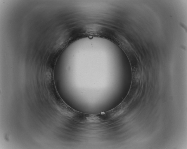 X0000098210603200804241323