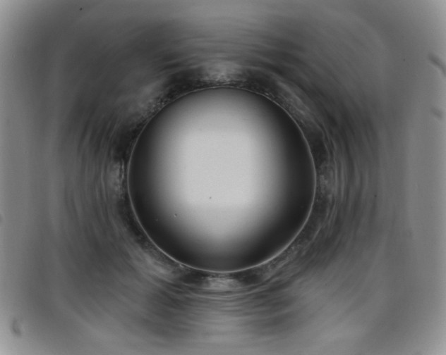 X0000098210605200804241323