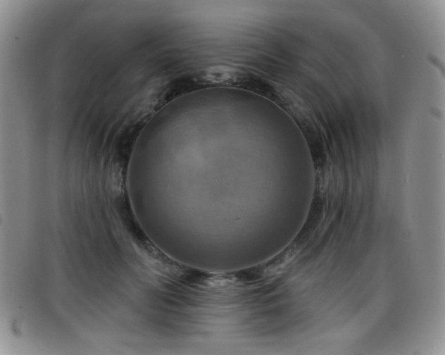 X0000098210606200804241323