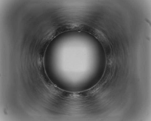 X0000098210607200804241323