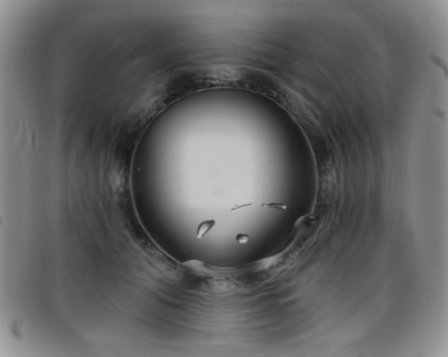 X0000098210608200804241323