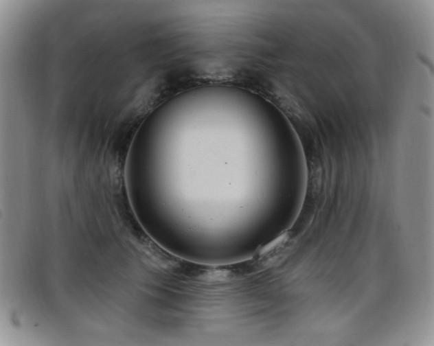 X0000098210609200804241323