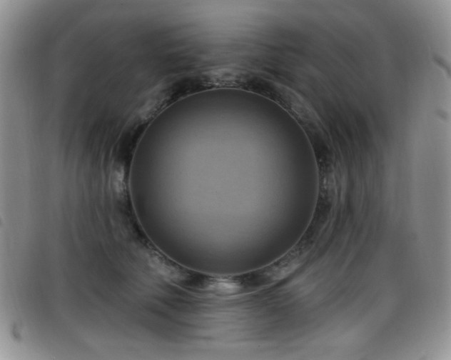 X0000098210610200804241323