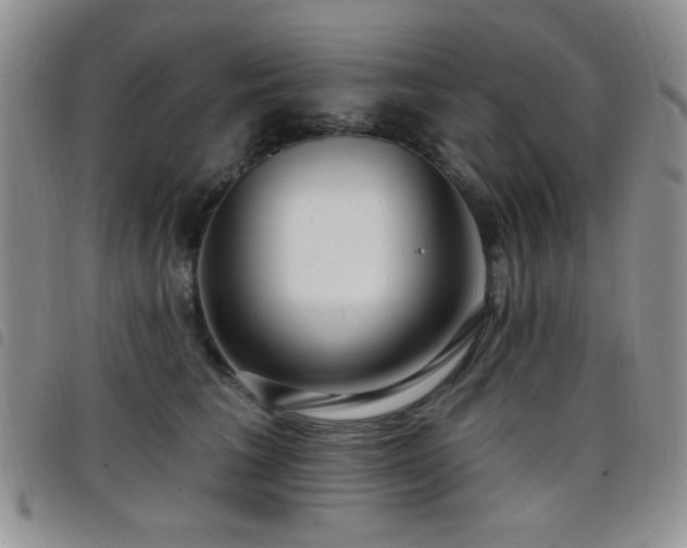 X0000098210613200804241322
