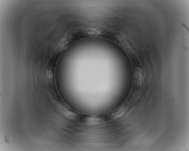 X0000098210614200804241322