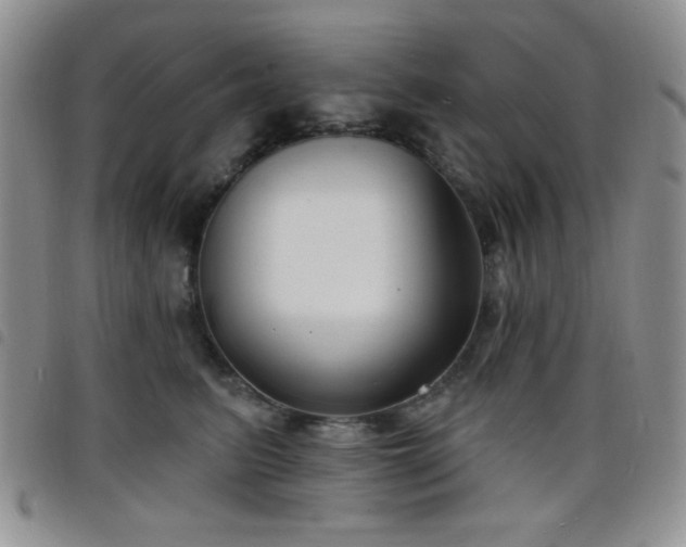 X0000098210615200804241322
