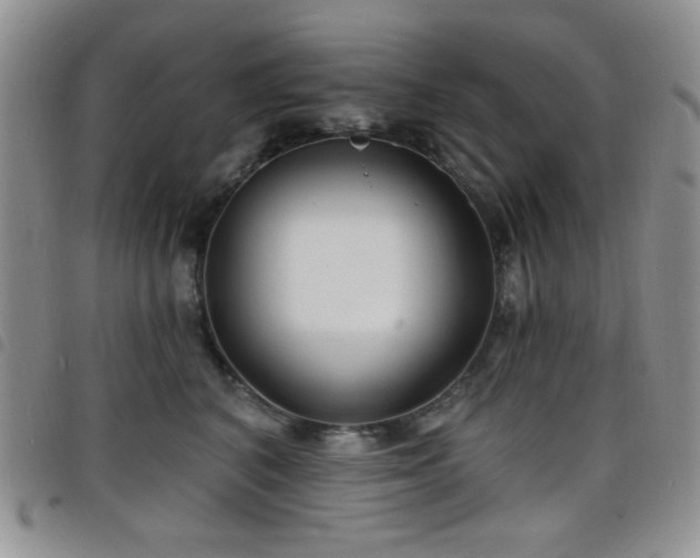 X0000098210616200804241322