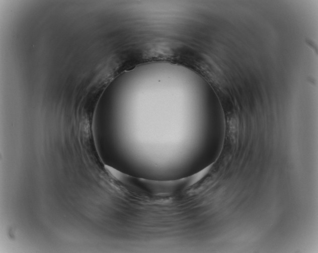 X0000098210617200804241322