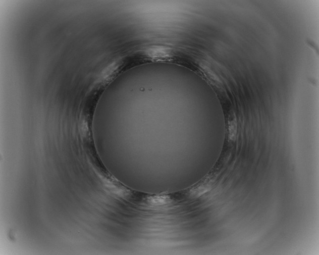 X0000098210618200804241322