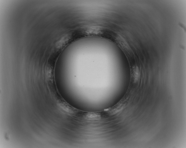 X0000098210619200804241322
