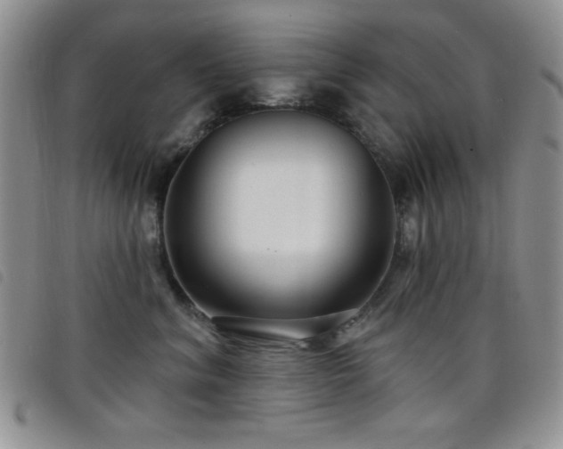 X0000098210620200804241322