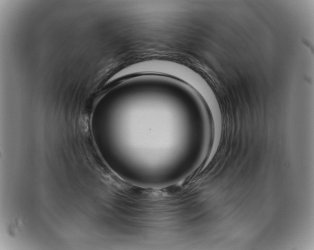 X0000098210621200804241322