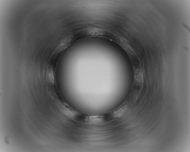 X0000098210622200804241322