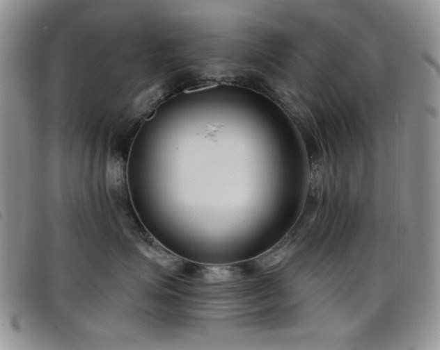 X0000098210623200804241322