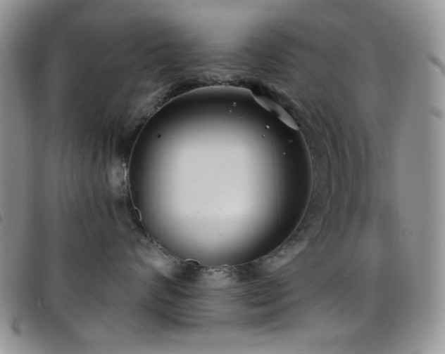X0000098210624200804241322
