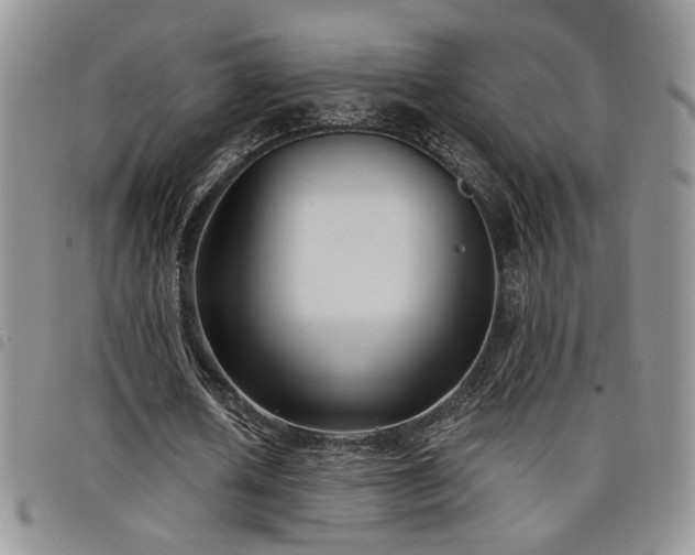 X0000098210626200804241322