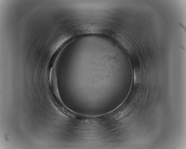 X0000098210627200804241322