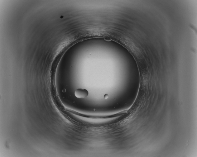X0000098210630200804241322