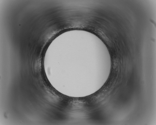 X0000098210632200804241322