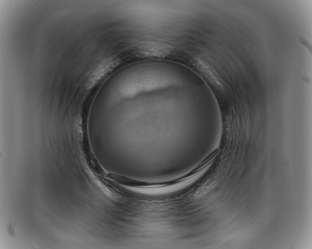X0000098210634200804241322