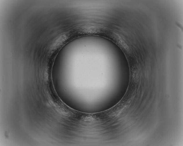 X0000098210635200804241322
